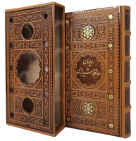 حافظ پالتویی همراه با قاب