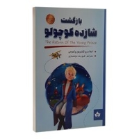 بازگشت شازده کوچولو